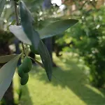 Maresole Tra L'etna E Taormina * Mascali